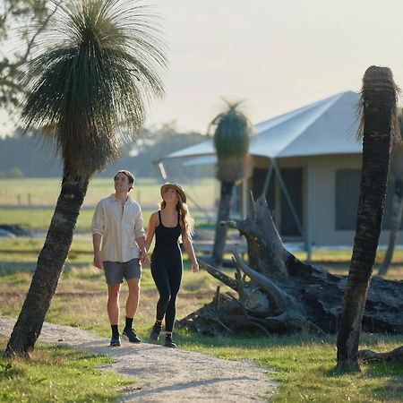 Willow Wood Glamping Retreat Broadwater Extérieur photo