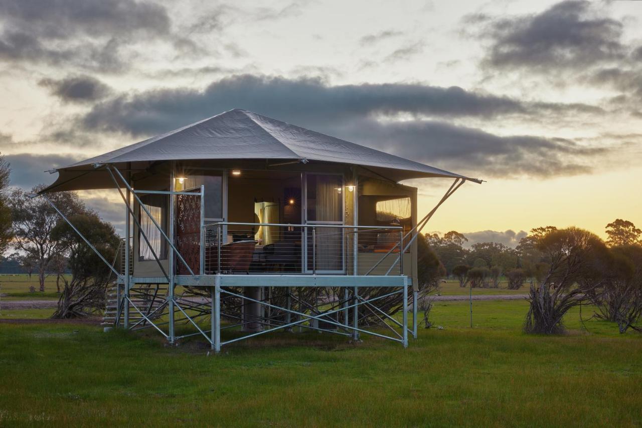 Willow Wood Glamping Retreat Broadwater Extérieur photo